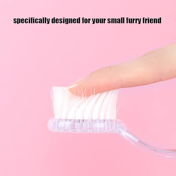 2 Pack Hamster Brush, Hedgehog Cleaning Supplies, Guinea Pig Massage Combs - Transparent