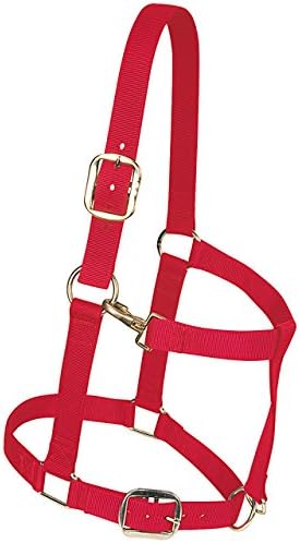 Weaver Leather Original Adjustable Nylon Horse Halter