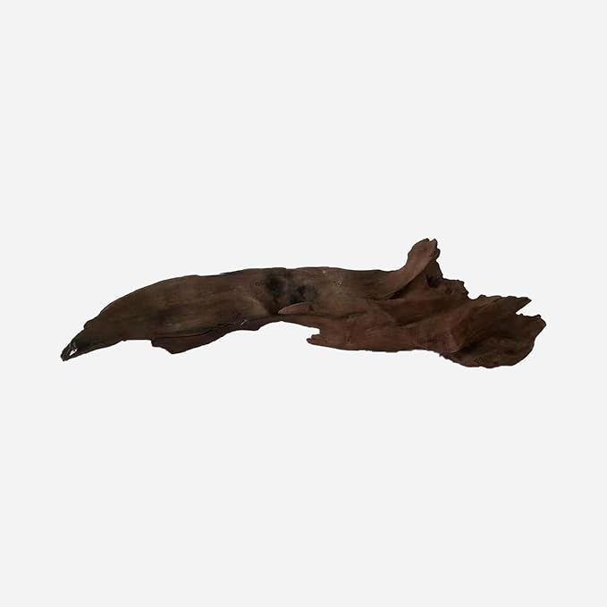 LYPHARD AQUARIUMS Natural Driftwood for Aquarium Decor, L14.96×W6.3×H5.51 Inches Large Drift Wood Decorations for Reptile Hide, Fish Tank, Optional Shapes