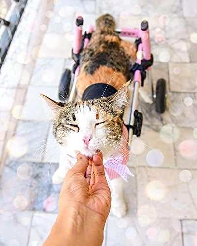Walkin' Wheels Lightweight – for Small Cats 2 to 20 Pounds – Veterinarian Approved – Cat Wheelchair for Back Legs, for Cats 11-20 lbs, 7-8 inches Leg Height – Blue