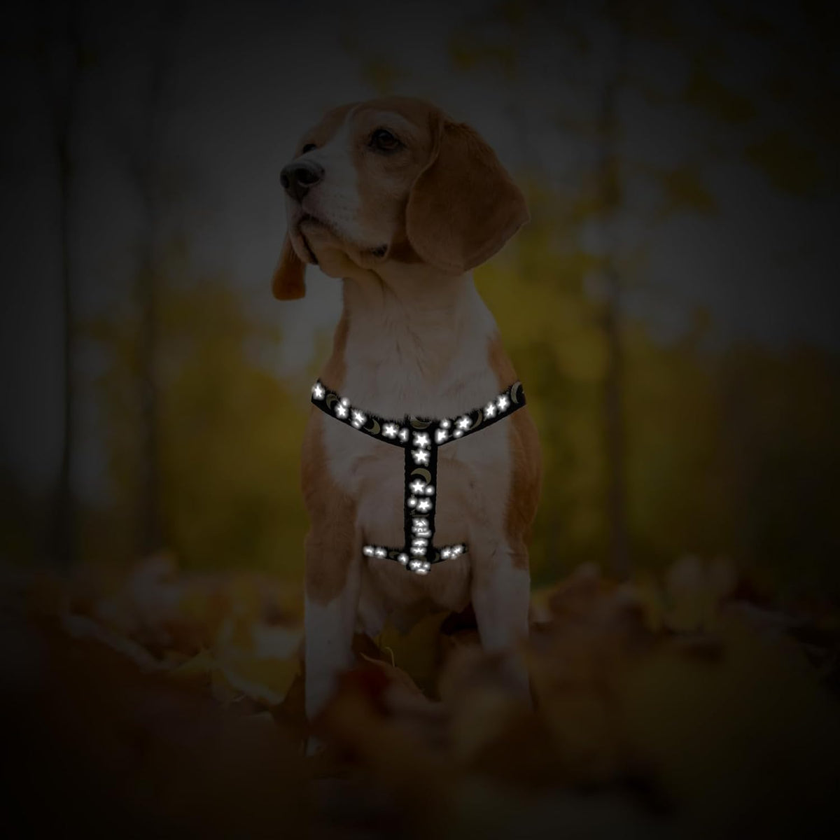 PUPTECK No Pull Dog Harness Soft Adjustable Basic Nylon Step in Puppy Vest Outdoor Walking with ID Tag, Moon Star Black, S