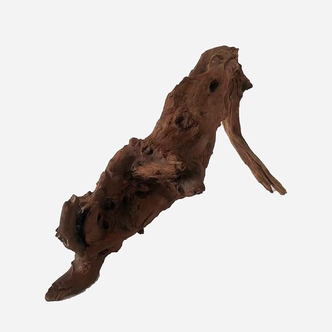 LYPHARD AQUARIUMS Natural Driftwood for Aquarium Decor, L16.93×W6.3×H10.63 Inches Large Drift Wood Decorations for Reptile Hide, Fish Tank, Optional Shapes