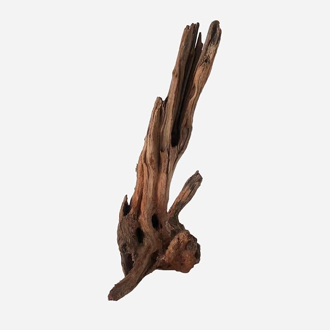 LYPHARD AQUARIUMS Natural Driftwood for Aquarium Decor, L12.99×W6.69×H20.47 Inches Large Drift Wood Decorations for Reptile Hide, Fish Tank, Optional Shapes