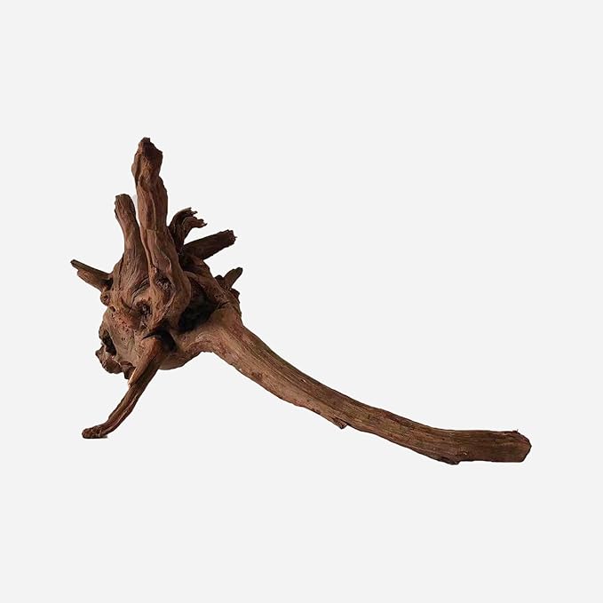LYPHARD AQUARIUMS Natural Driftwood for Aquarium Decor, L19.69×W9.06×H8.27 Inches Large Drift Wood Decorations for Reptile Hide, Fish Tank, Optional Shapes