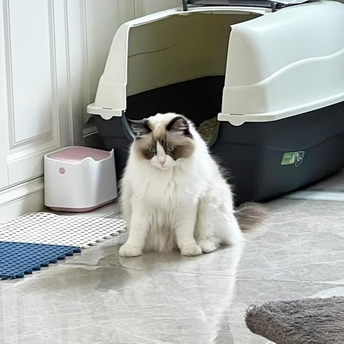 Mini Countertop Cat Litter Can with Press Type Lid, Includes 60 Refill Bags