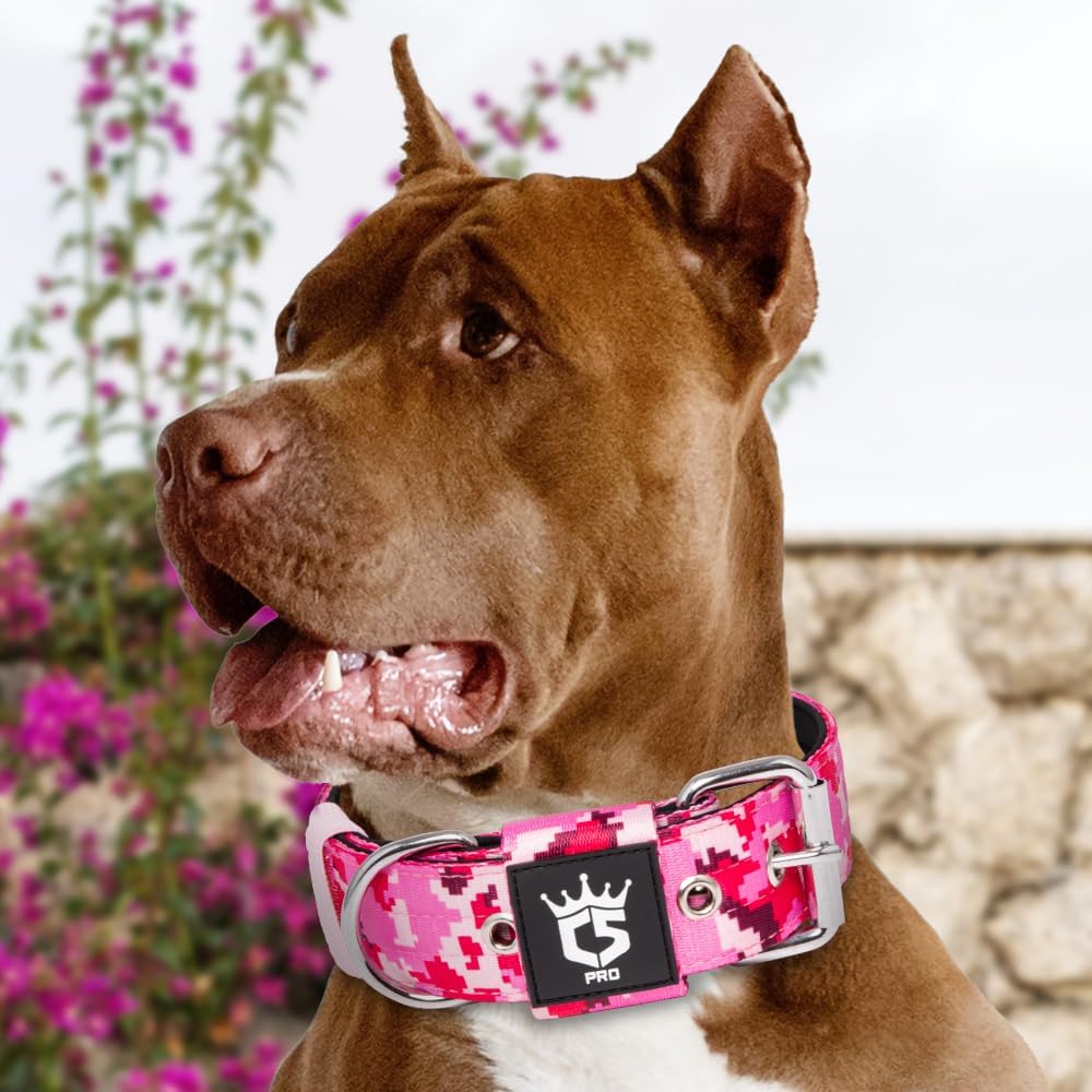 TSPRO Tactical Dog Collar 1.5 Inch Wide Thick Dog Collars with Heavy Duty Metal Buckle, Durable, Strong, Adjustable for Medium to Large Dogs (Camo Pink L)