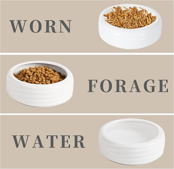 Reptile Food Bowls Ceramic Round Reptile Water Food Dish, Pet Food Bowl for Lizards, Small Snakes, Young Bearded Dragons, Gecko Tortoise Spider (White, Medium-2Pack)