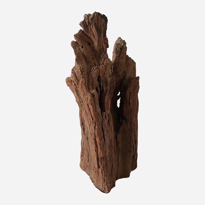 LYPHARD AQUARIUMS Natural Driftwood for Aquarium Decor, L8.66×W6.69×H15.75 Inches Large Drift Wood Decorations for Reptile Hide, Fish Tank, Optional Shapes