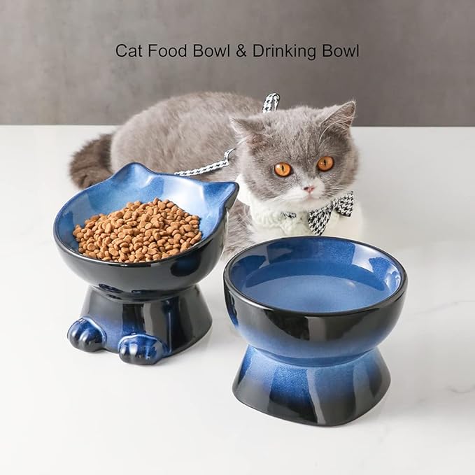 Nihow Slanted Elevated Cat Bowls: 6.25 Inch Ceramic Raised Cat Food Bowl for Protecting Pet's Spine - Microwave & Dishwasher Safe -Elegant Blue & Black (6.8 OZ /1 PC)