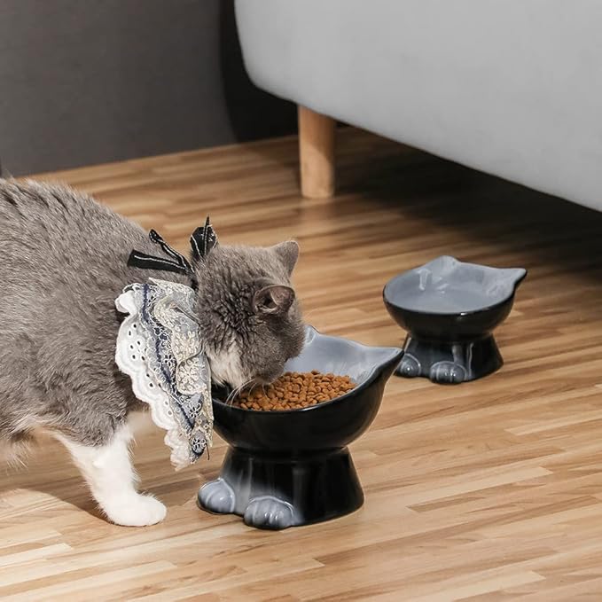 Nihow Elevated Cat/Dog Bowls Set : 6.2 Inch Ceramic Raised Cat Food & Water Bowl Set for Protecting Pet's Spine - Feeding & Watering Supplies for Cat/Small Size Dog - Elegant Gray(2PC)