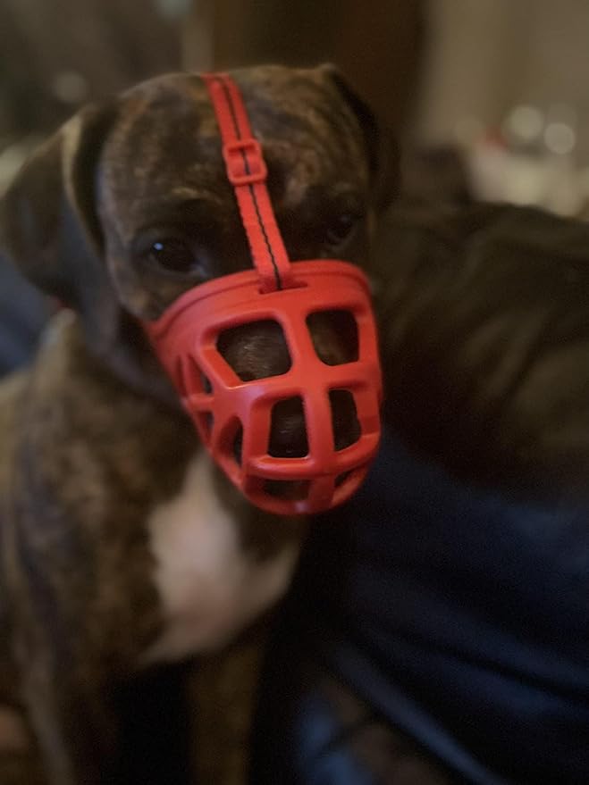 Mayerzon Dog Muzzle, Breathable Basket Muzzles for Small, Medium, Large and X-Large Aggressive Dogs Beagle German Shepherd Doberman, Cage Mouth Guard Stop Biting Chewing for Grooming Training