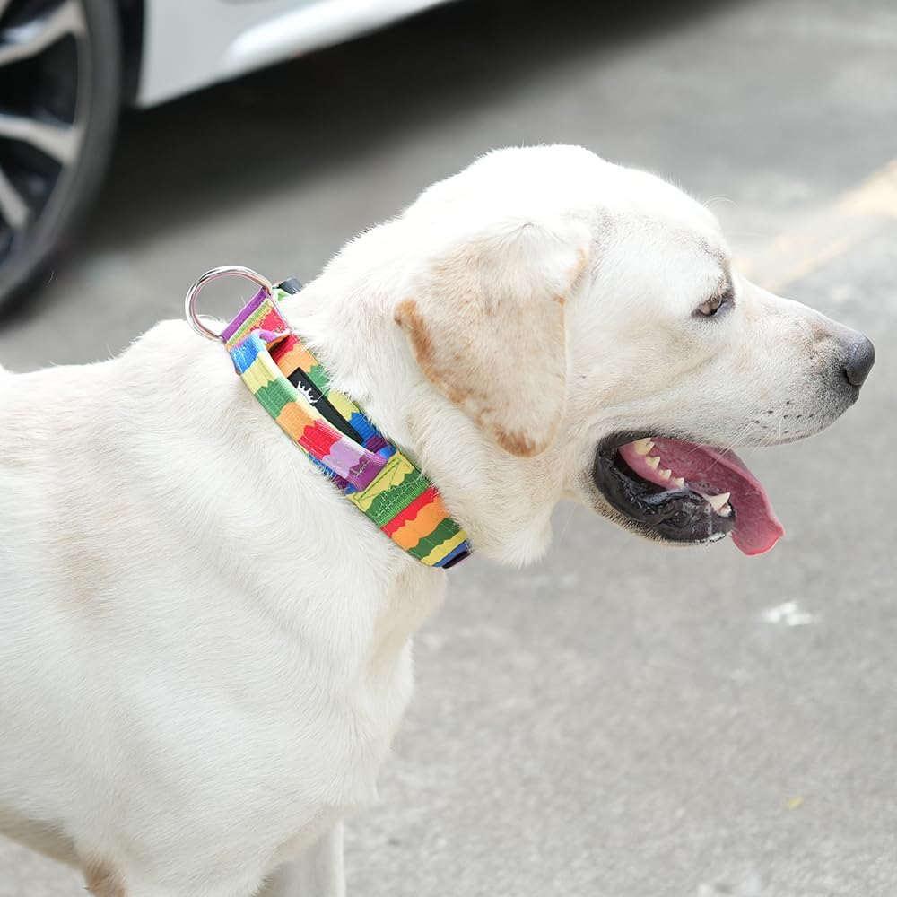 TSPRO Premium Dog Collars Tactical Dog Collar with Handle and Heavy Duty Quick-Release Metal Buckle Durable Thick and Adjustable for Medium to Large Dogs (Gradient Rainbow M)