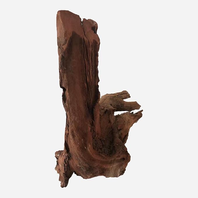 LYPHARD AQUARIUMS Natural Driftwood for Aquarium Decor, L15.75×W7.87×H14.17 Inches Large Drift Wood Decorations for Reptile Hide, Fish Tank, Optional Shapes