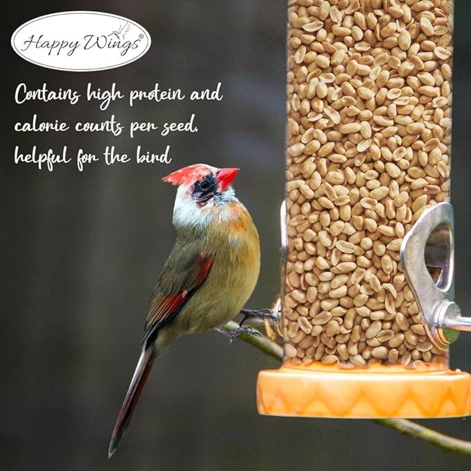 Shelled Peanuts Seeds Combo Wild Bird Food - 10 Pounds- 5 Pounds Combo Pack of 2 I No Grow Seed I Bird Food for Wild Birds