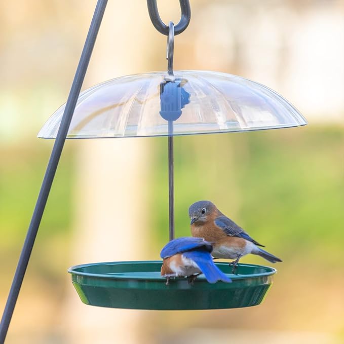 Kingsyard Adjustable Platform Bird Feeder for Outdoors Hanging, Metal Tray Bird Feeder with Dome Top, Attract Bluebirds Cardinals Goldfinches (Green)