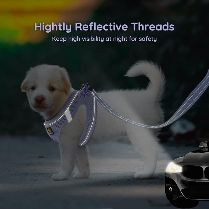 BELLA & PAL Step in Vest Harness for Small and Medium Dogs, No Pull Small Dog Harness with Leash Set, Comfortable Air Mesh Puppy Vest Harness with Reflective Strip (Lavender, XS)