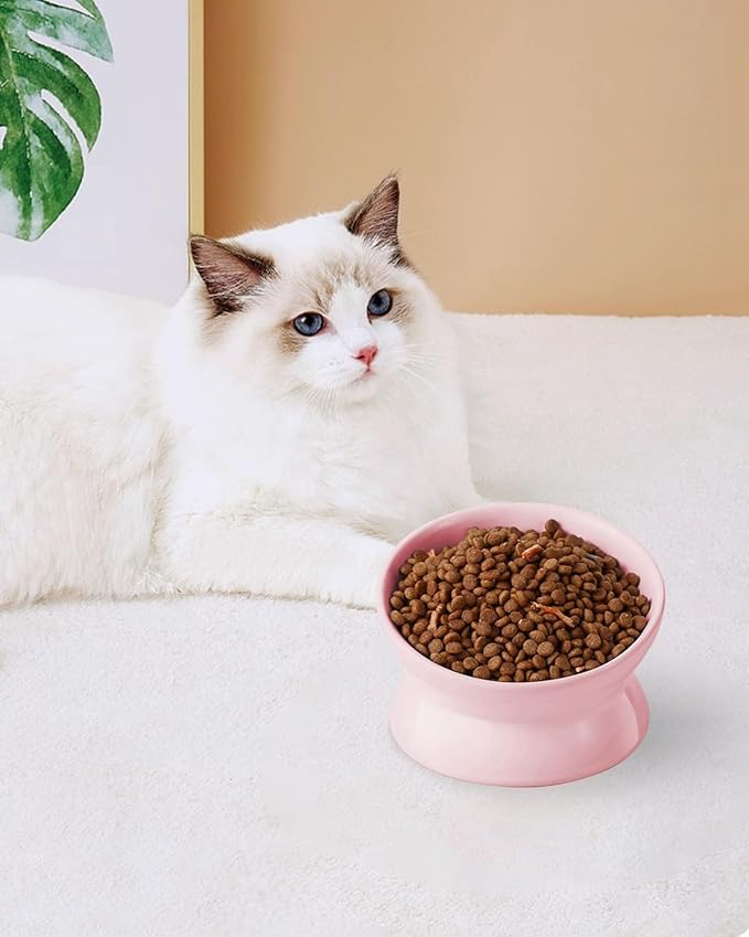 LoeJan Elevated Cat Food Bowl, 5 Oz Ceramic Raised and Tilted Water Bowl, Anti Vomiting and Protect Pets' Spines Dishes for Small Dog, Fat Faced Cat, Kitten (Pink, 2 Pack)