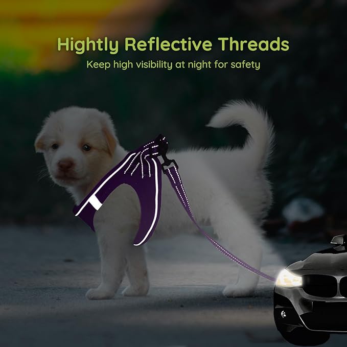 BELLA & PAL Step in Vest Harness for Small and Medium Dogs, No Pull Small Dog Harness with Leash Set, Comfortable Air Mesh Dog Vest Harness with Reflective Strip (Grape Purple, L)