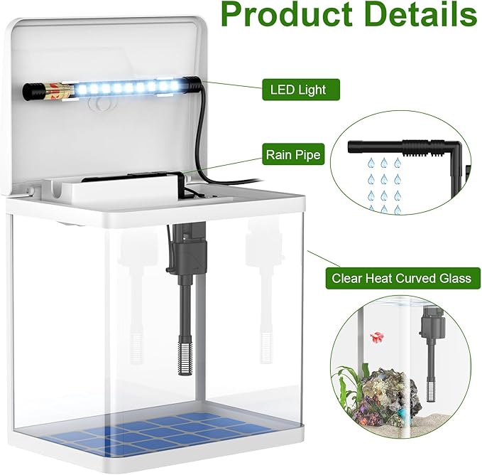 2 Gallon Glass Betta Fish Tank,Small Fish Tank with Filter and Light,Self-Cleaning Fish Tank.
