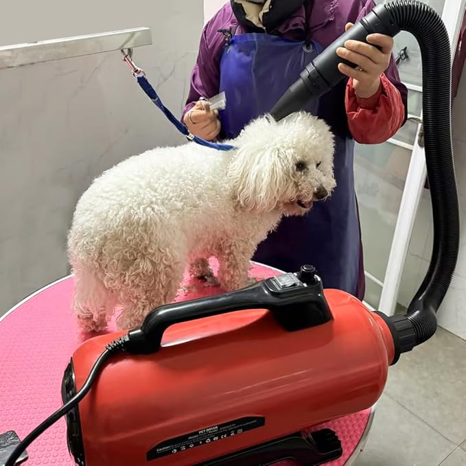 Dog Pet Dryer, 3000W High Velocity Pet Dryer Adjustable Speed Dog Grooming Blower Double Motor, Pet Grooming Hair Drying(4HP), Hot Air Dog Hair Dryer Blower with 2 Nozzle