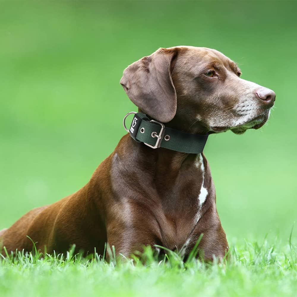 TSPRO Tactical Dog Collar 1.5 Inch Wide Thick Dog Collars with Heavy Duty Metal Buckle, Durable, Strong, Adjustable for Medium to Large Dogs (Green M)