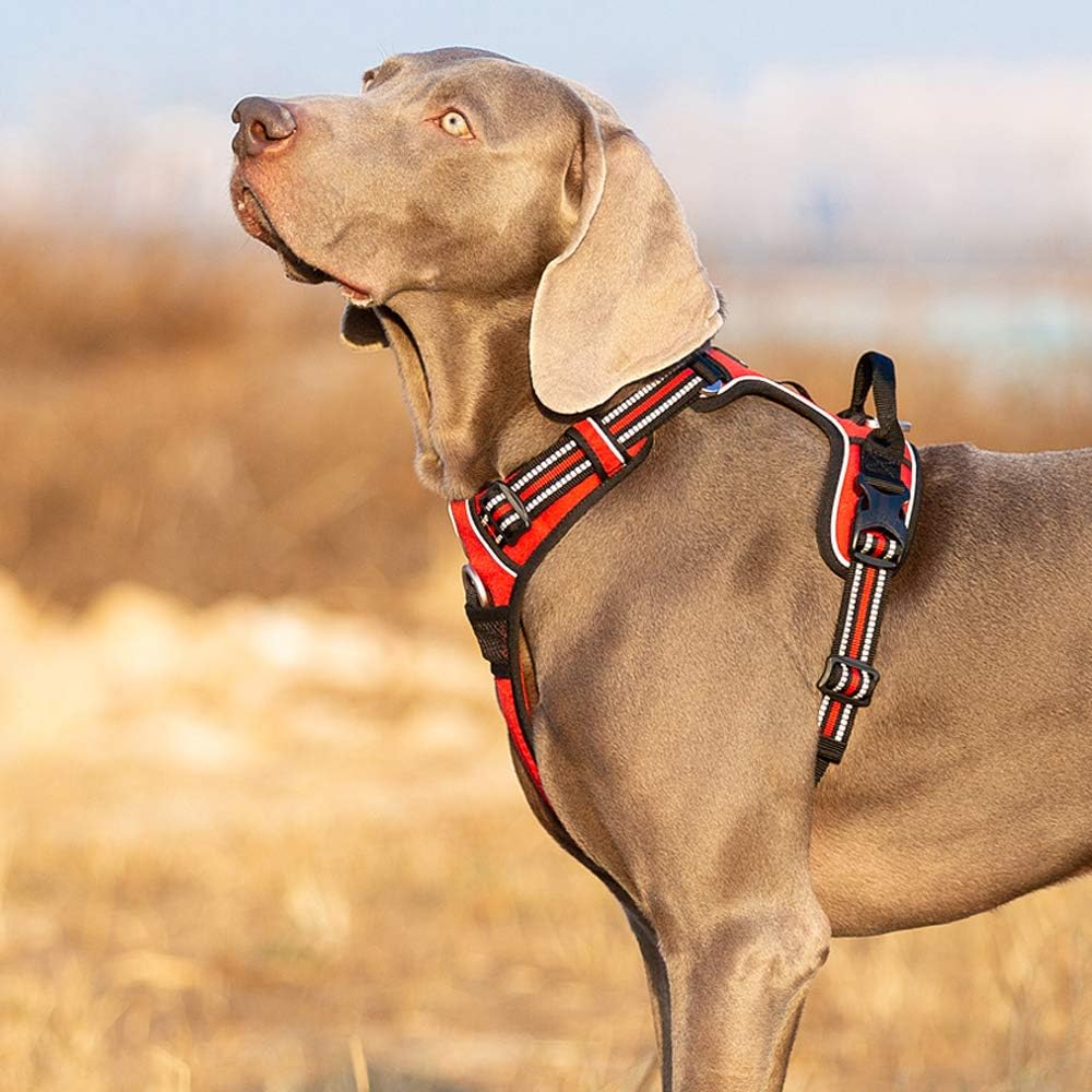 TRUE LOVE Dog Harness No Pull Nylon Reflective Pet Harness Adjustable Comfortable Control Step-in Brilliant Colors Truelove TLH56512 XL Red
