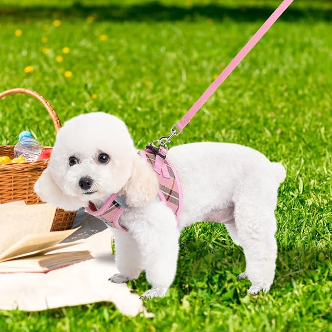 EXPAWLORER Classic Plaid Puppy Harness - Small Dog Harness and Leash Set - Dog Collar and Leash Set with AirTag Holder, Soft Padded Step in Dog Vest Harness No Pull Reflective for Outdoor, Pink S