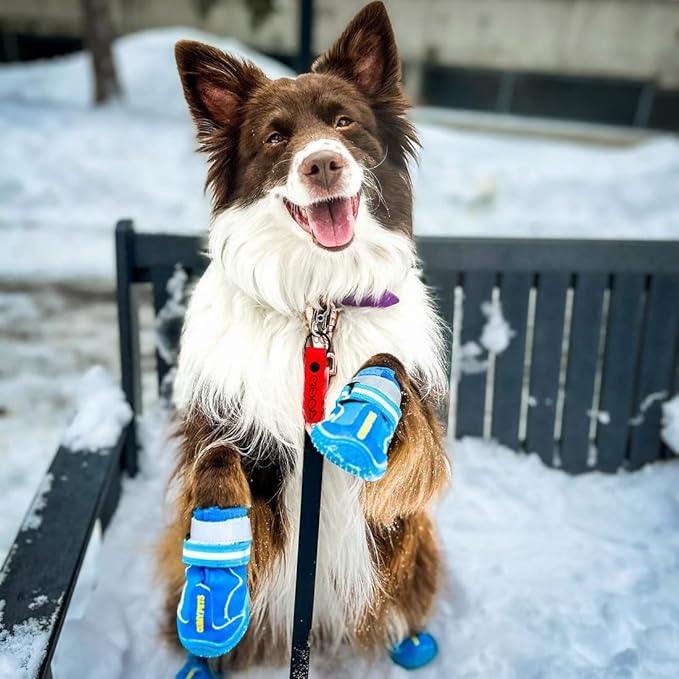 QUMY Dog Shoes for Large Dogs, Medium Dog Boots & Paw Protectors for Winter Snowy Day, Summer Hot Pavement, Waterproof in Rainy Weather, Outdoor Walking, Indoor Hardfloors Anti Slip Sole Blue 8