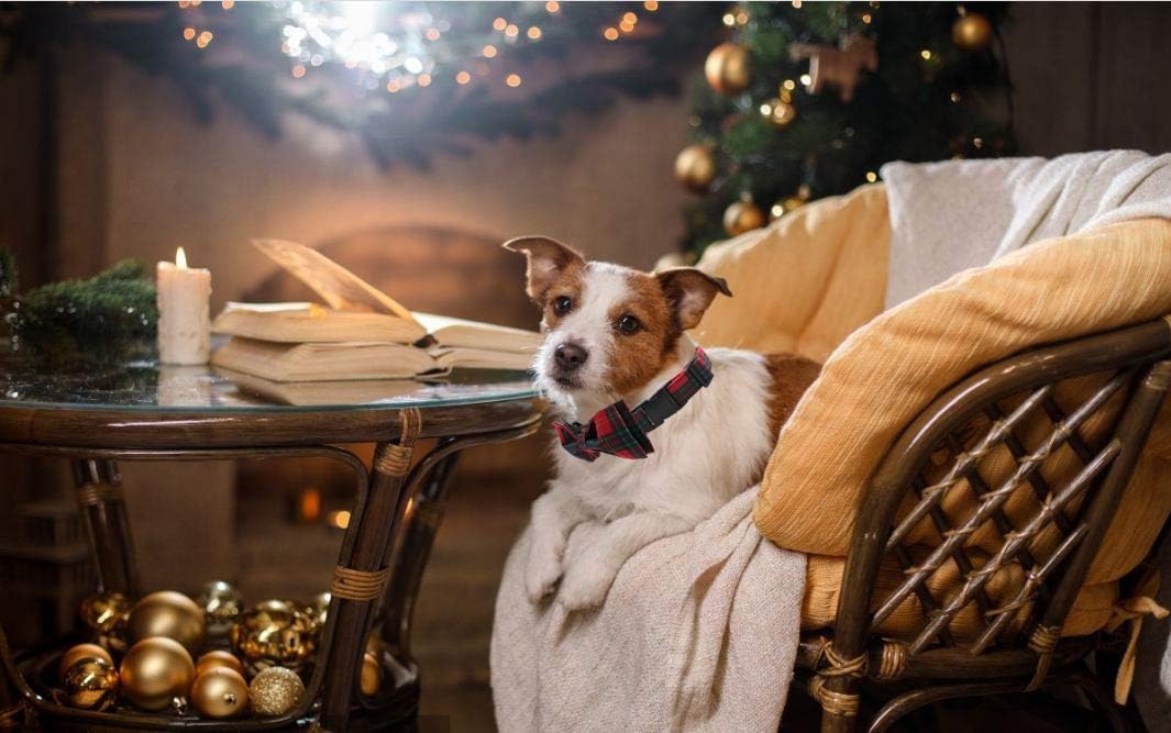 Lionet Paws Christmas Dog and Cat Collar with Bowtie,Soft and Comfortable,Adjustable Collar