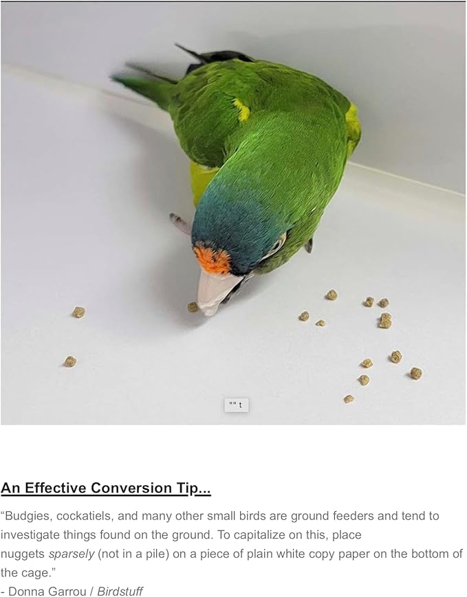 Harrison's Bird Foods High Potency Fine Certified Organic Non GMO Formula Bird Food 25lb