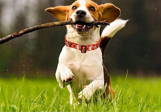 Halloween Dog Collar - Pumpkin Bat Ghost Pattern - Adjustable for Small Medium Large Dogs(Halloween,S)