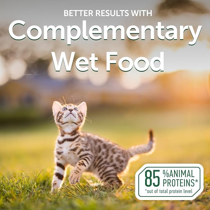 Nature's Protection Wet Cat Food in Gravy - High Protein, Natural & Soft Tuna Fish & Sea Bass Shreds - Wet Food for Kittens, Can-Free Convenient Pouches 2.46-oz (Superior Care - 24 Pack)