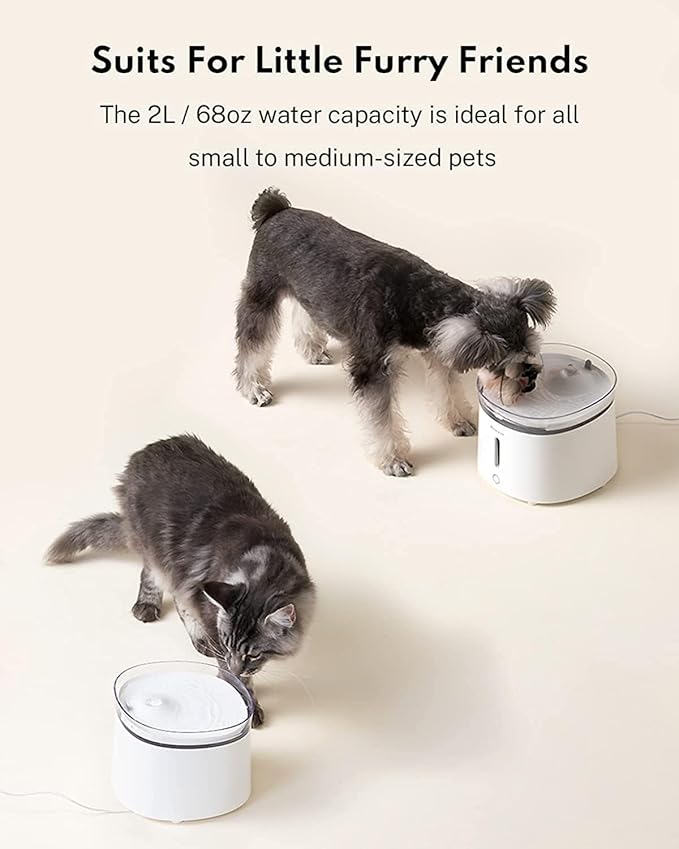 HomeRunPet Silent Cat Water Fountain, 68 oz/2L, Pet Fountain Wireless Pump, Dog Water Dispenser, Dual Mode, Quick Assembly & Easy-Clean, Filters Included