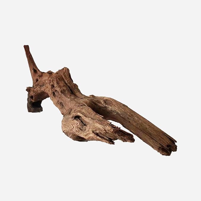 LYPHARD AQUARIUMS Natural Driftwood for Aquarium Decor, L21.65×W6.3×H8.66 Inches Large Drift Wood Decorations for Reptile Hide, Fish Tank, Optional Shapes