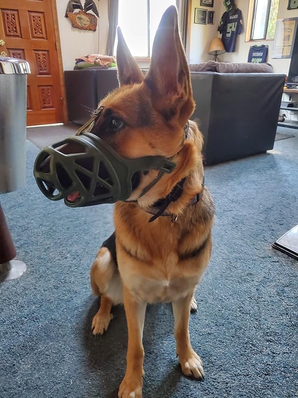 Mayerzon Dog Muzzle, Breathable Basket Muzzles for Small, Medium, Large and X-Large Aggressive Dogs Beagle German Shepherd Doberman, Cage Mouth Guard Stop Biting Chewing for Grooming Training