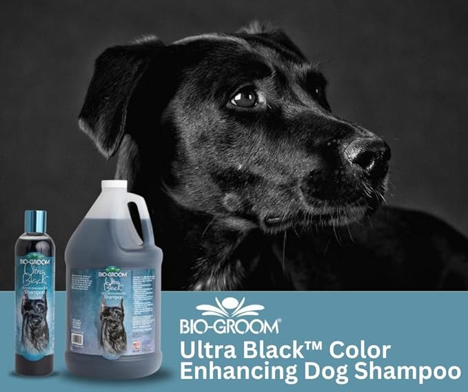 Bio-Groom Ultra-Black Dog Shampoo - Color Enhancing Pet Shampoo, Dog Bathing Supplies, Puppy Wash, Grooming Supplies, Cruelty-Free, Made in USA, Coat Brightener Shampoo - 1 Gallon