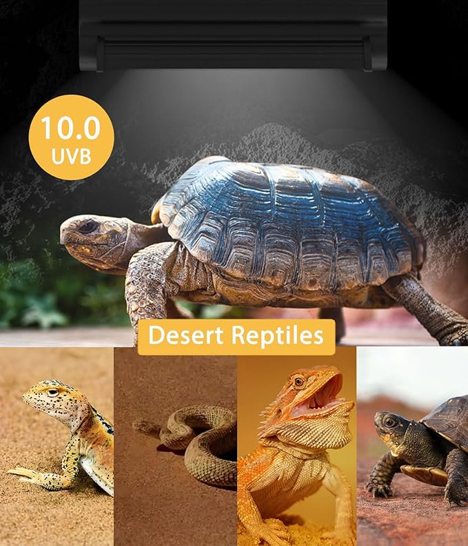 T5 UVB Reptile Light Fixture Combo Kit - 12 Inch 8W Terrarium Hood 10.0 UVA UVB Bulb with High-Efficiency Reflector for Desert Reptiles & Amphibians (Bearded Dragons, Turtles, Tortoises)