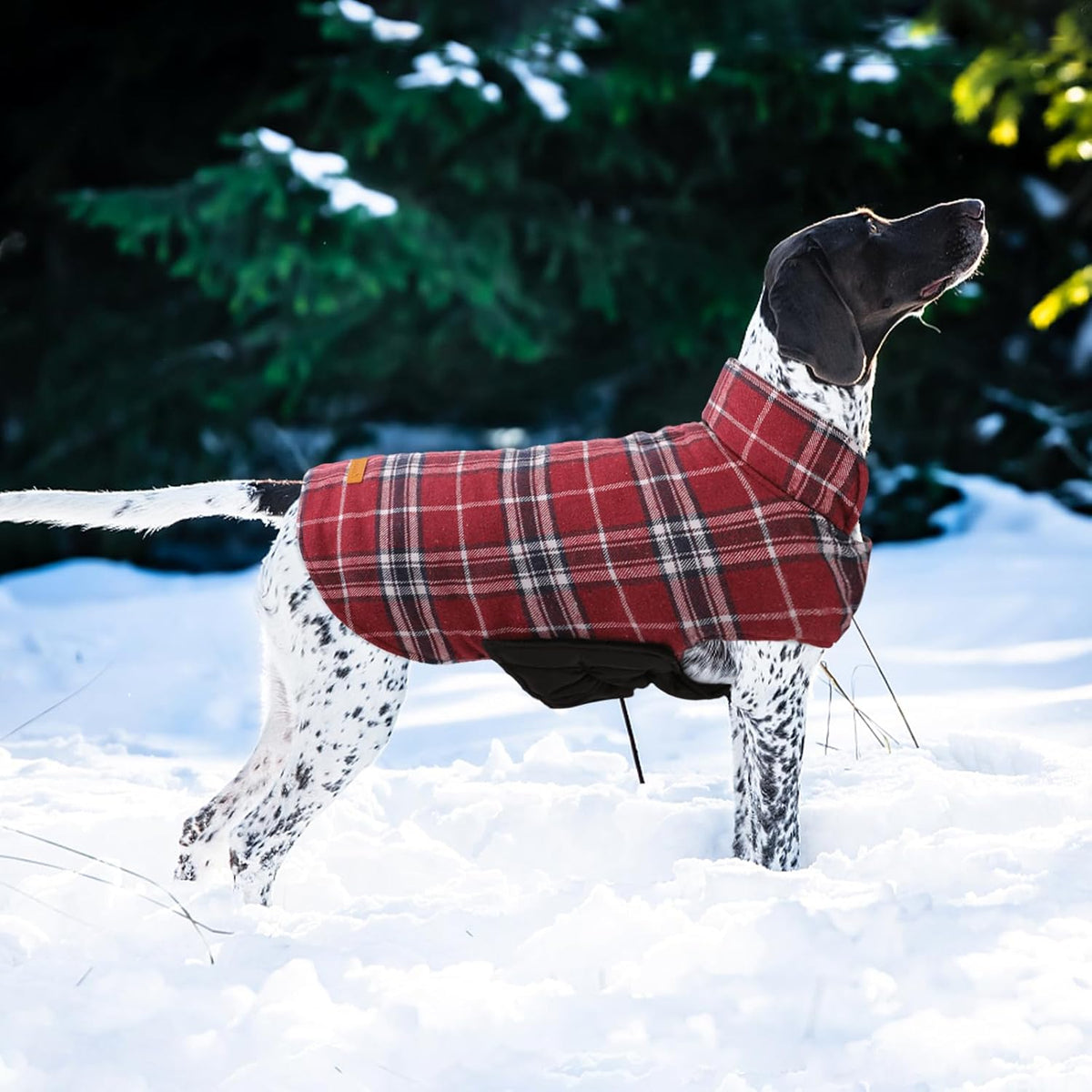 Kuoser Warm Dog Coat, Waterproof Dog Jacket for Extra Large Dogs, Adjustable Durable XXL Doggie Winter Coat Reversible Puppy Cold Weather Apparel from Small to Large Breed, Red XXL