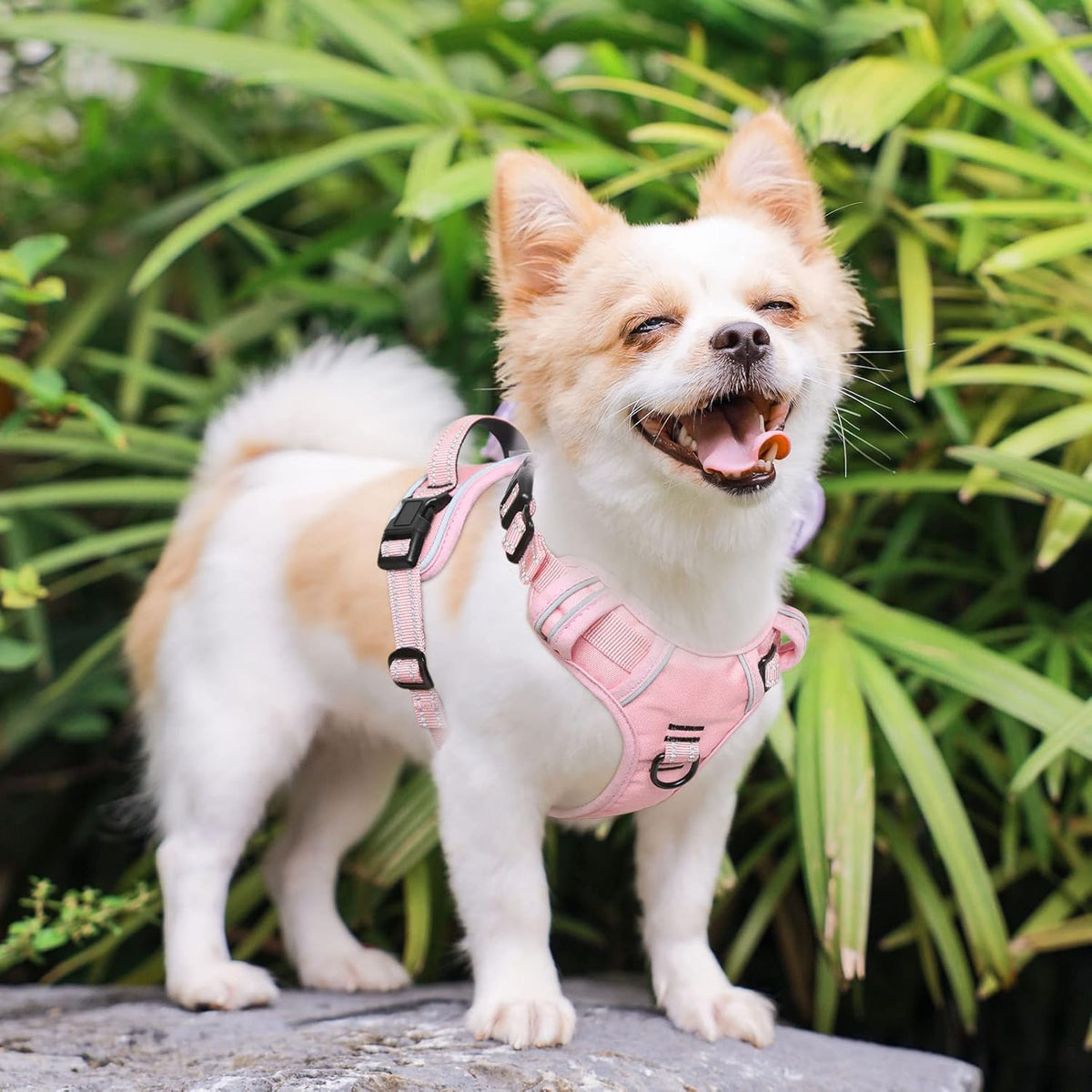 Timos Dog Harness, 3 Snap Buckles No-Pull Soft Padded Dog Vest with 2 Metal Leash Clips, Adjustable Reflective No Choke Pet Harness with Easy Control Handle for X-Small Dogs,Pale Pink,XS