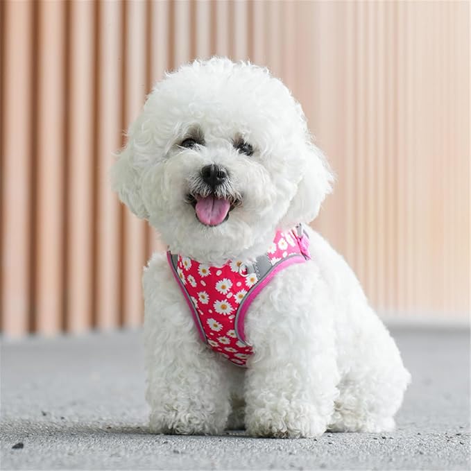 Step in Dog Harness No Pull Flower Adjustable Soft Mesh Padded Reflective Pet Vest Harness and Leash Set for Small Medium Dogs