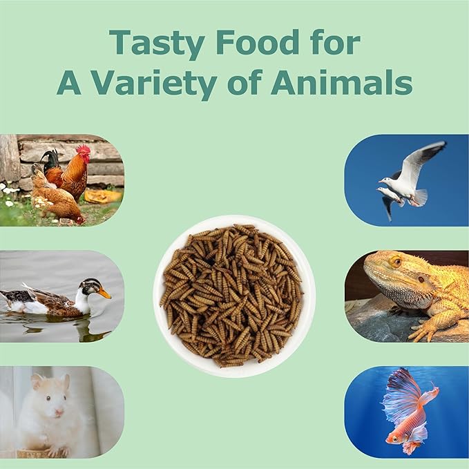 4LB Non-GMO Dried Black Soldier Fly Larvae, More Calcium Than Dried Mealworms, High Protein Chicken Feed, Poultry Treats