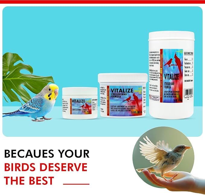 Morning Bird Vitalize, Supplement for Sick, Injured, or Stressed Caged Birds; Dehydration and Exhaustion Treatment for Parakeets, Cockatiels, Budgies, Finches, Canaries, and Parrots, 3 oz