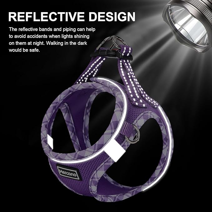 Mercano Soft Mesh Dog Harness and Leash Set, No-Chock Step-in Reflective Breathable Lightweight Easy Walk Vest Harnesses with Safety Buckle for Small Dogs, Cats (XS, Purple)