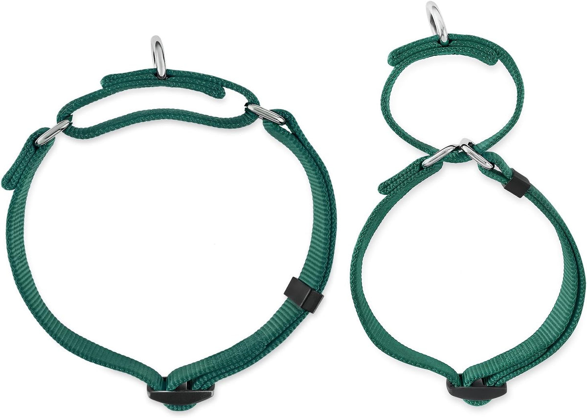 Hyhug Elite Anti-Escape Martingale Collar-Small Boy and Girl Dog Collar Safer and Comfy