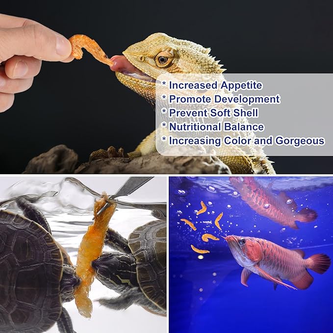 Freeze-Dried Krill Jumbo Shrimp - High Protein Natural Reptile Food for Turtles, Bearded Dragons, Tropical Fish & Amphibians(4oz)