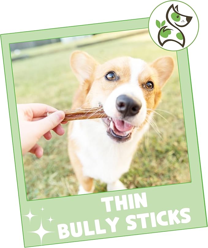 Nature Gnaws Thin Bully Sticks for Dogs 5-6" (8oz) - Mixed Thickness - Long Lasting for Small Dogs and Puppies - Natural Thin Beef Dog Chew Bones - Rawhide Free