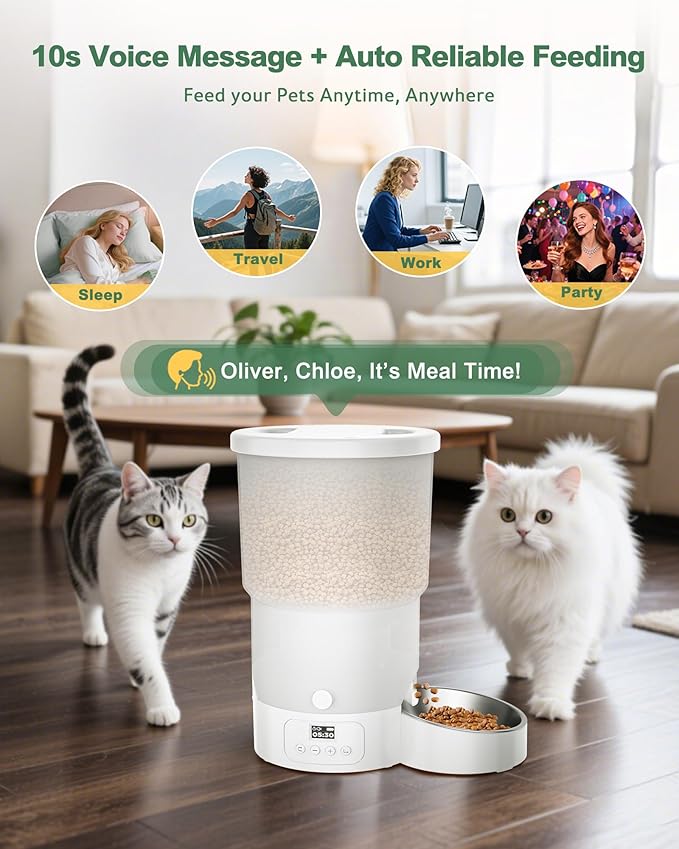 Gimars 5L/20 Cups Automatic Cat Feeder, Programmable 1-6 Meals Cat Food Dispenser with Stainless Steel Bowl, Easy Setup, Dual Power Supply,10s Meal Call Timed Pet Feeder for Cats and Small Dogs