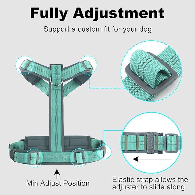 Plutus Pet No Pull Dog Harness, Adjustable Nylon Harness with Soft Padding, Reflective and Heavy Duty Dog Harness for Small, Medium, Large Dogs(Teal, L)