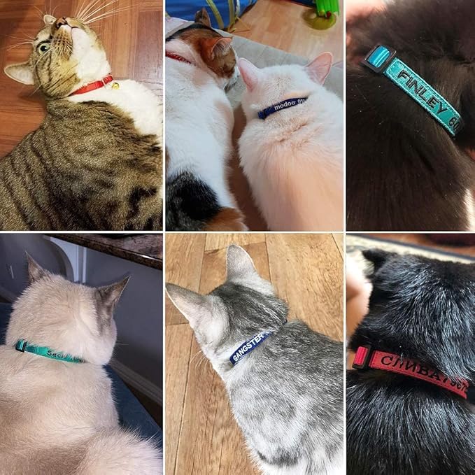 Personalized Nylon Cat Collar Breakaway with Bell - Custom Embroidered Text ID Collars with Pet Name and Phone Number