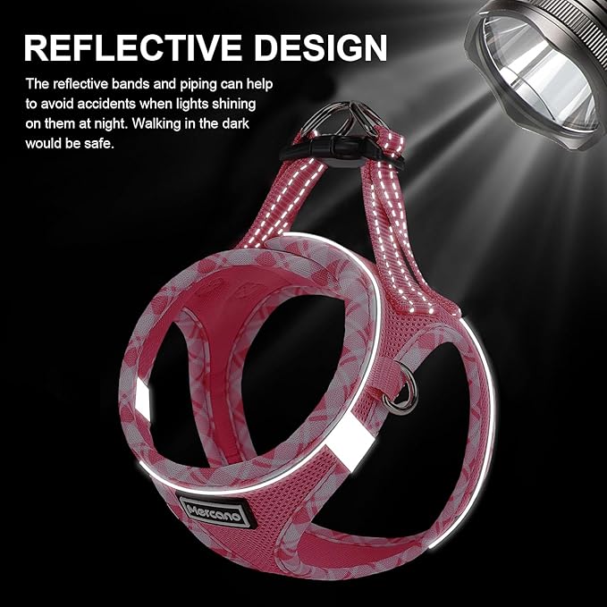 Mercano Soft Mesh Dog Harness and Leash Set, No-Chock Step-in Reflective Breathable Lightweight Easy Walk Vest Harnesses with Safety Buckle for Small Dogs, Cats (L, Fuchsia)
